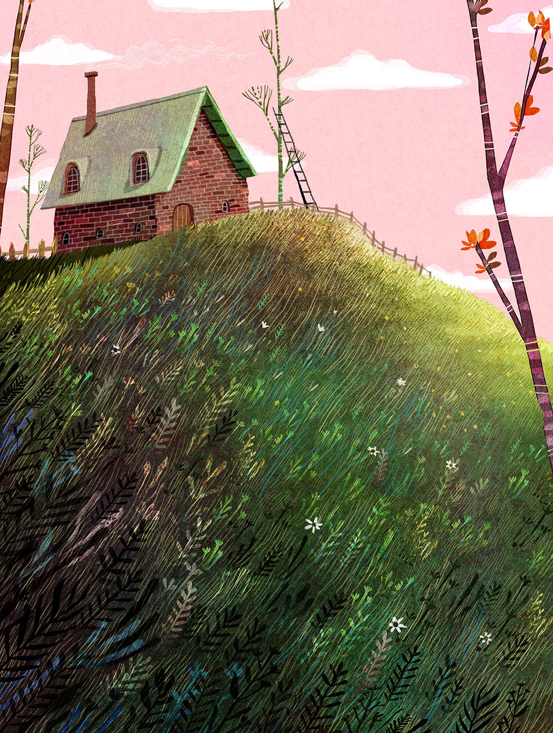 My Dream House