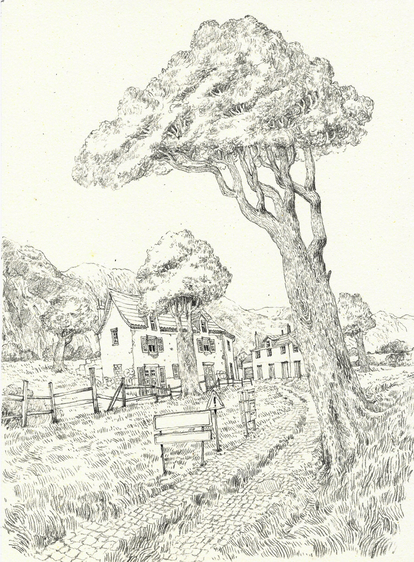 Pencil Sketch - walks