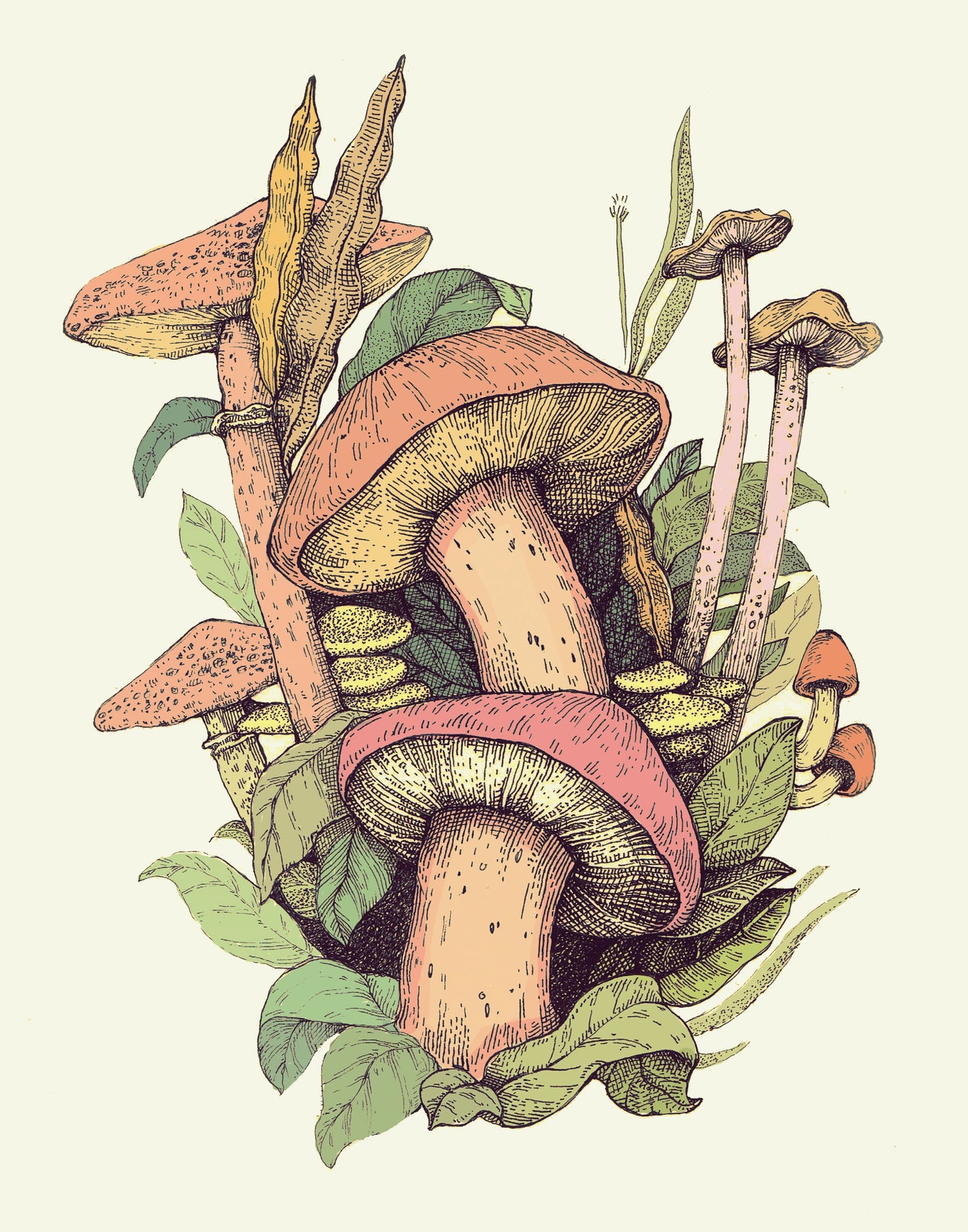 Mushrooms Garden
