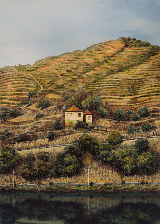 Alto Douro