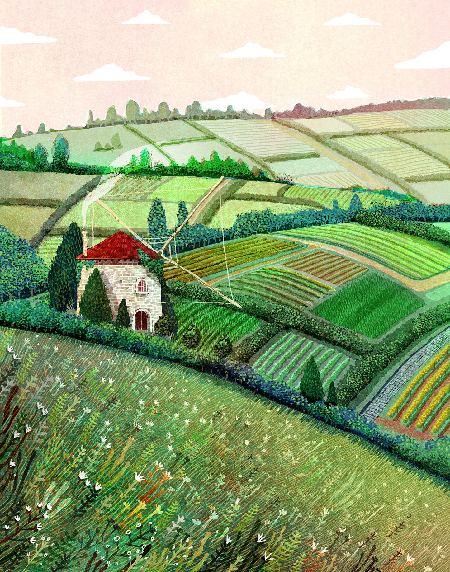My farm