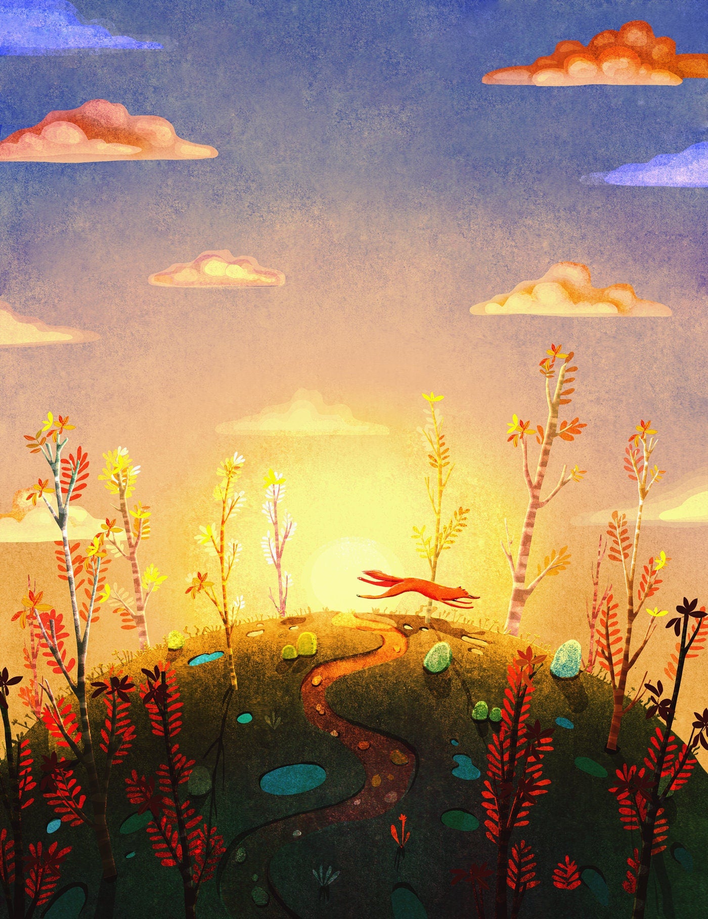 sunset