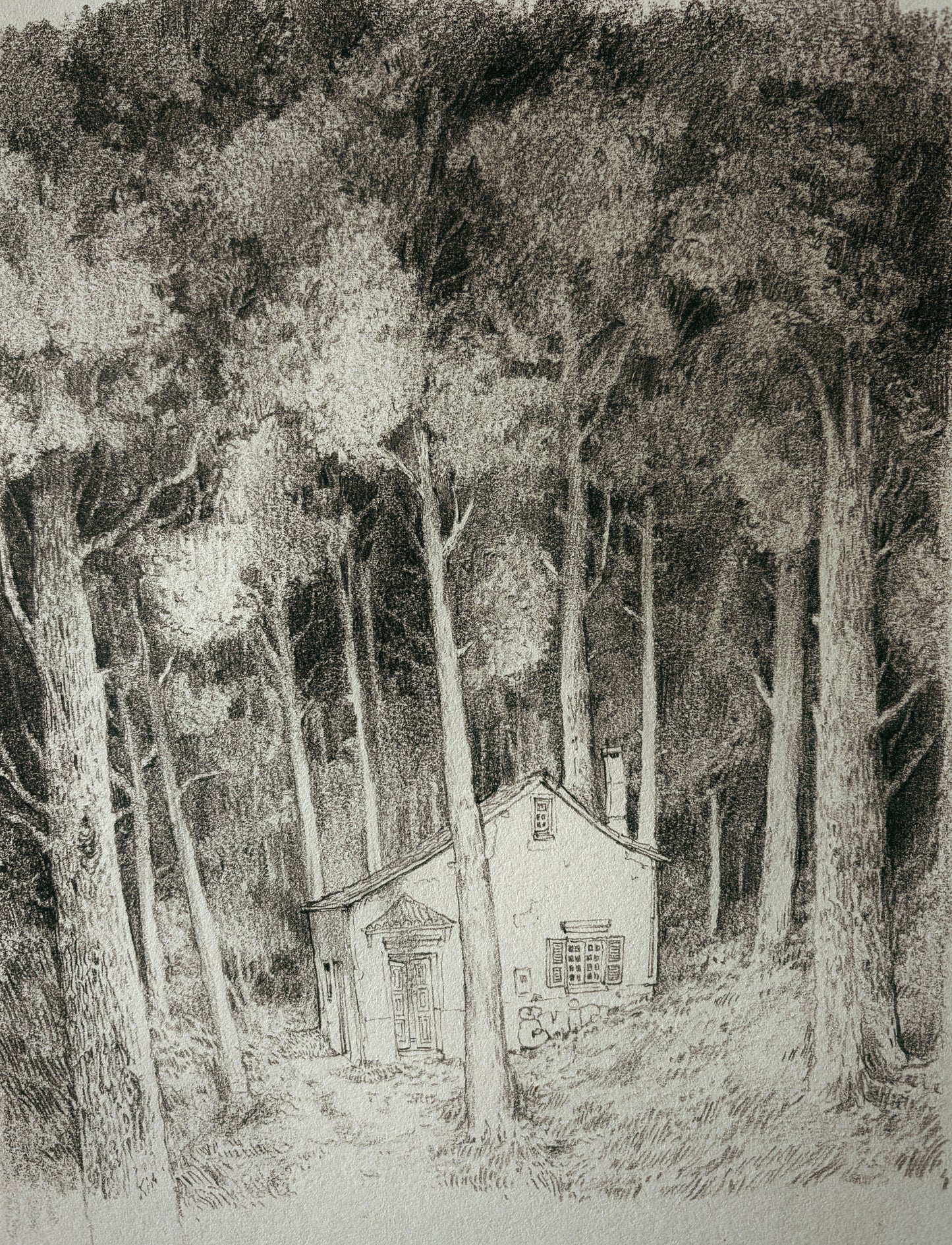 Pencil Sketch - Flash
