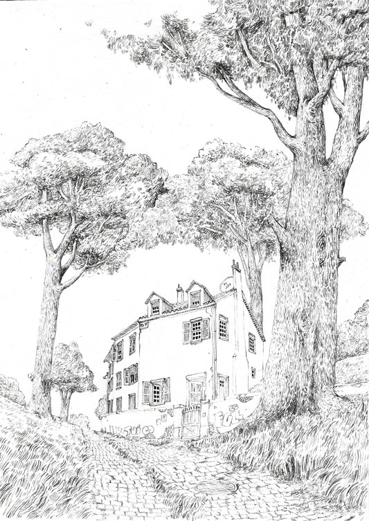 Pencil Sketch - under the shadows
