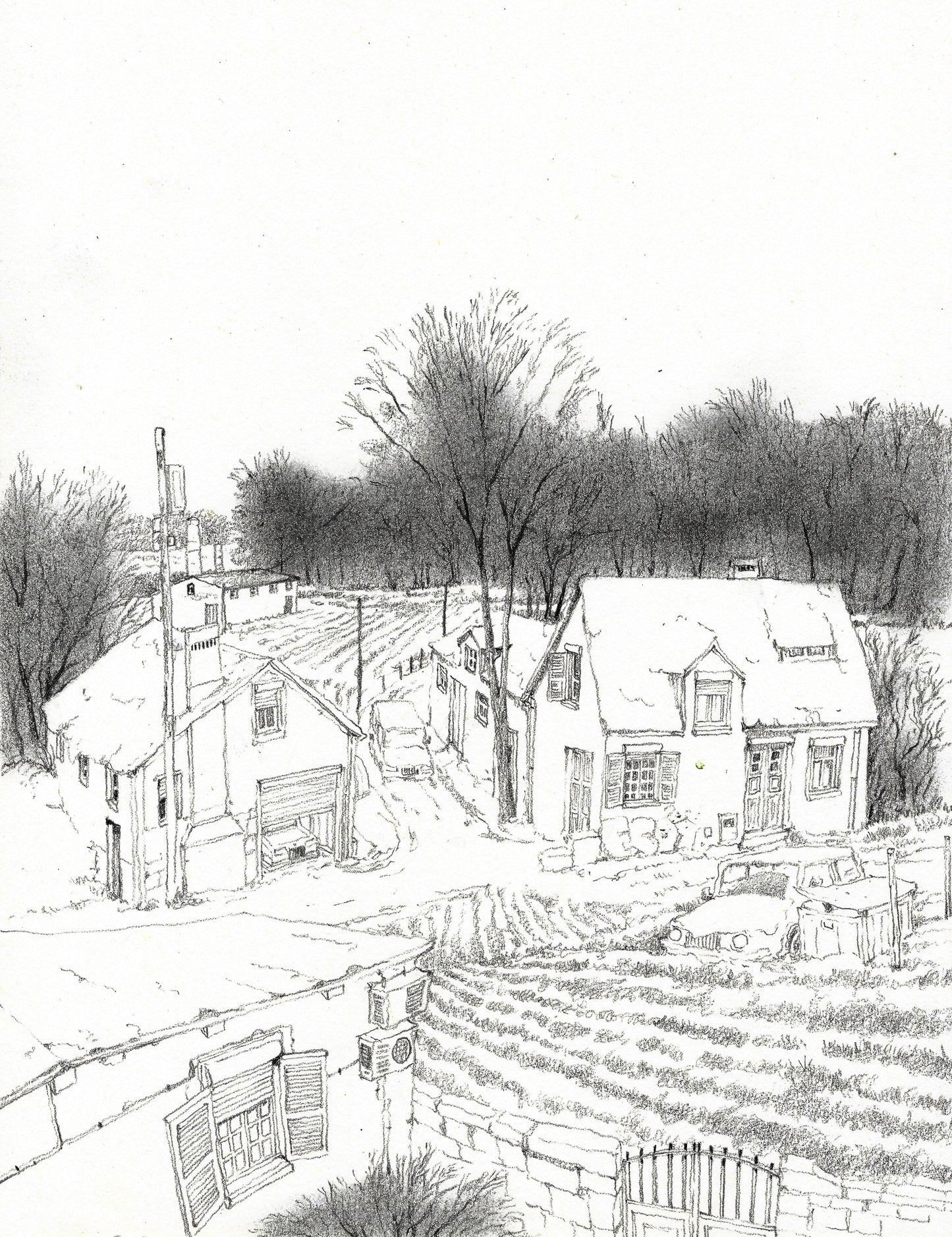 Pencil Sketch - Snow